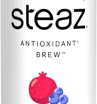 Antioxidant Brew Organic Green Tea Blueberry Pomegranate Online Sale