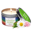 7 Chakras Plants - Natural Soy Wax Tin Candle Online now