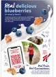 Blueberry Cereal Supply